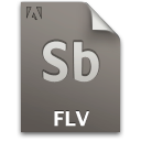 Flv file sb document secondary