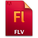 Fl file flv document