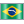 Brazil flag