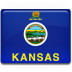 Kansas flag