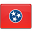 Flag tennessee