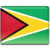 Guyana flag