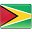 Guyana flag