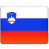 Slovenia flag