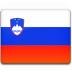 Slovenia flag