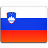 Slovenia flag