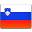 Slovenia flag