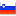 Slovenia flag