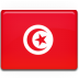 Tunisia flag