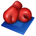 Boxing sport