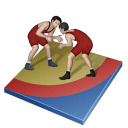 Wrestling freestyle sport