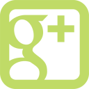 Google plus social network