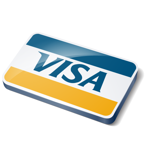 Visa credit card payment