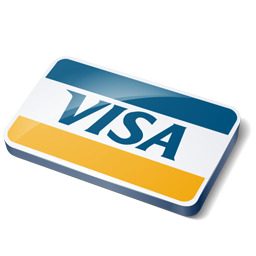 Visa credit card payment