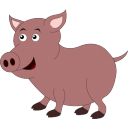 Pig