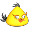 Angry yellow bird