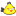 Angry yellow bird