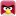 Angry bird red