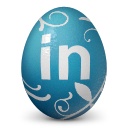 Linkedin social network