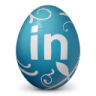 Linkedin social network