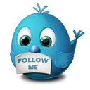 Follow me twitter animal bird