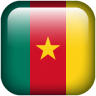 Flag cameroon