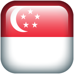 Singapore flag