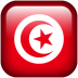 Tunisia flag