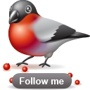 Bullfinch follow