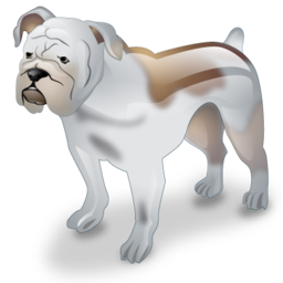 Bulldog dog pet