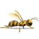 Wasp