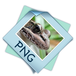 Filetype png