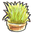 Flowerpot grass