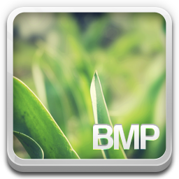 Bmp file