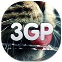 3gp