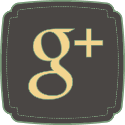 Google plus social network