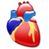 Cardiology organ heart