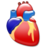 Cardiology organ heart