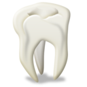 Odontology