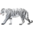 White tiger