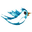 Bird twitter animal follow