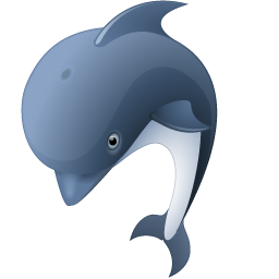 Dolphin animal