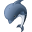 Dolphin animal