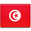 Tunisia flag