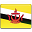 Brunei flag