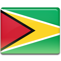 Flag guyana