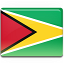 Flag guyana