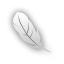 Photoshop ps feather