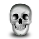 Head skeleton skull