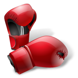 Sport sports gloves boxing box